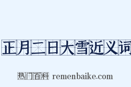 正月二日大雪近义词是什么意思的图片